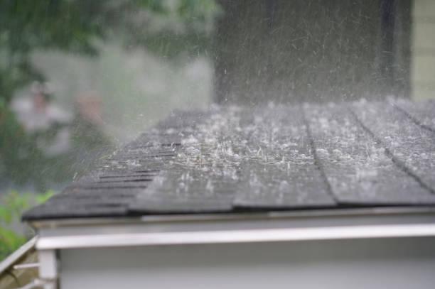 Best Skylight Installation and Repair  in Livingston, MT